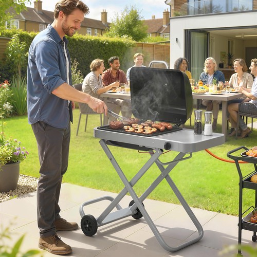 Foldable gas bbq - foldable,